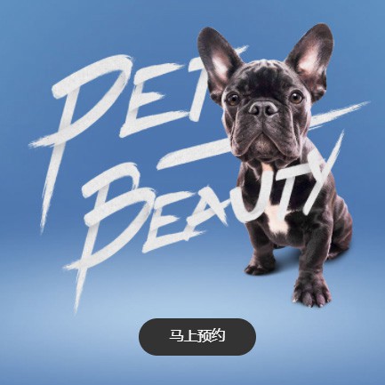 吉隆宠物中心小程序开发