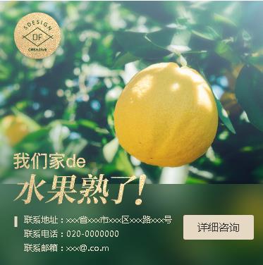 吉隆果园果林小程序开发